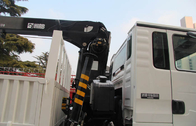 Grúa montada camión resistente 5 toneladas de SINOTRUK para el saneamiento del paisaje