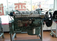 Motor diesel resistente WD615.87 290HP de los accesorios SINOTRUK WD del camión