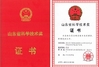 China SINOTRUK INTERNATIONAL CO., LTD. certificaciones