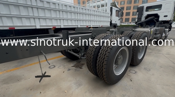 Sinotruk HOWO 8X4 camión de carga 400hp 12 ruedas Ghost Face Cab