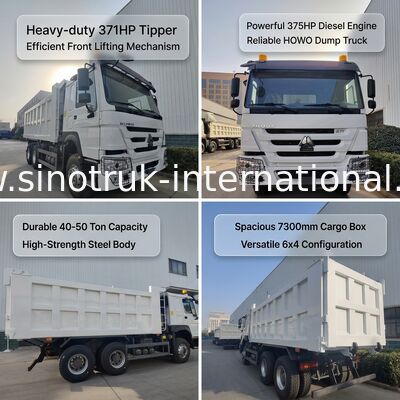 SINOTRUK HOWO 371HP camión de carga pesado con 10 ruedas y caja de carga rectangular