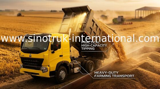 Toneladas de camión volquete de Sinotruk Howo del camión volquete 30 - 40 del volquete del sector de la construcción