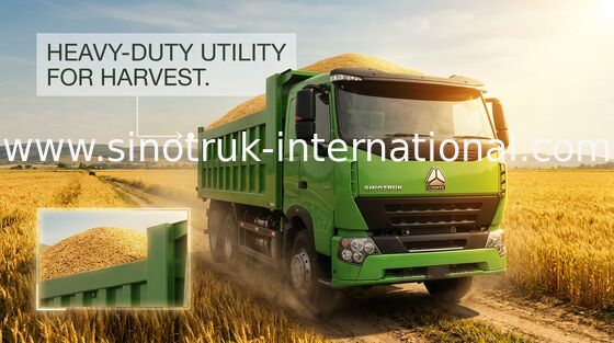 Camión volquete pesado RHD 6X4 de SINOTRUK HOWO para el cargamento del material de construcción