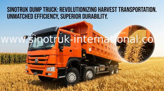 El camión volquete SINOTRUK HOWO 371HP 12 rueda LHD 31tons 20-30CBM ZZ3317N3867W