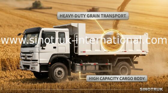 Camión volquete de oro 290HP 4X2 LHD 16tons 9-13CBM ZZ3161M3811C1 del volquete de príncipe SINOTRUK