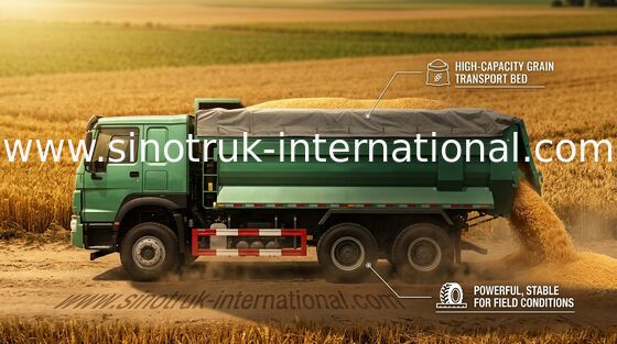 Toneladas 10 - 25 CBM del camión de volquete del camión volquete de volquete de las obras públicas/HOWO 6X4 LHD 25