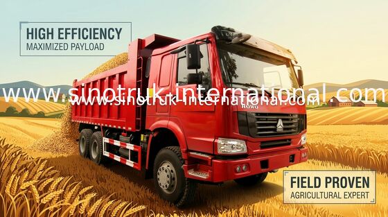 Camión volquete resistente de LHD 6X4 SINOTRUK HOWO con la cubierta de la lona/la cubierta del metal