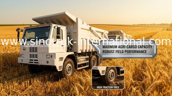 70 toneladas de camión volquete SINOTRUK HOWO70 del volquete que mina LHD 6X4 420HP