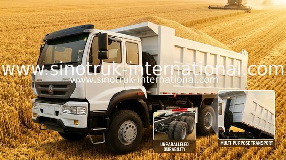 Príncipe de oro camión volquete 10Wheels 336HP LHD 25-30tons ZZ3251N3641W de SINOTRUK
