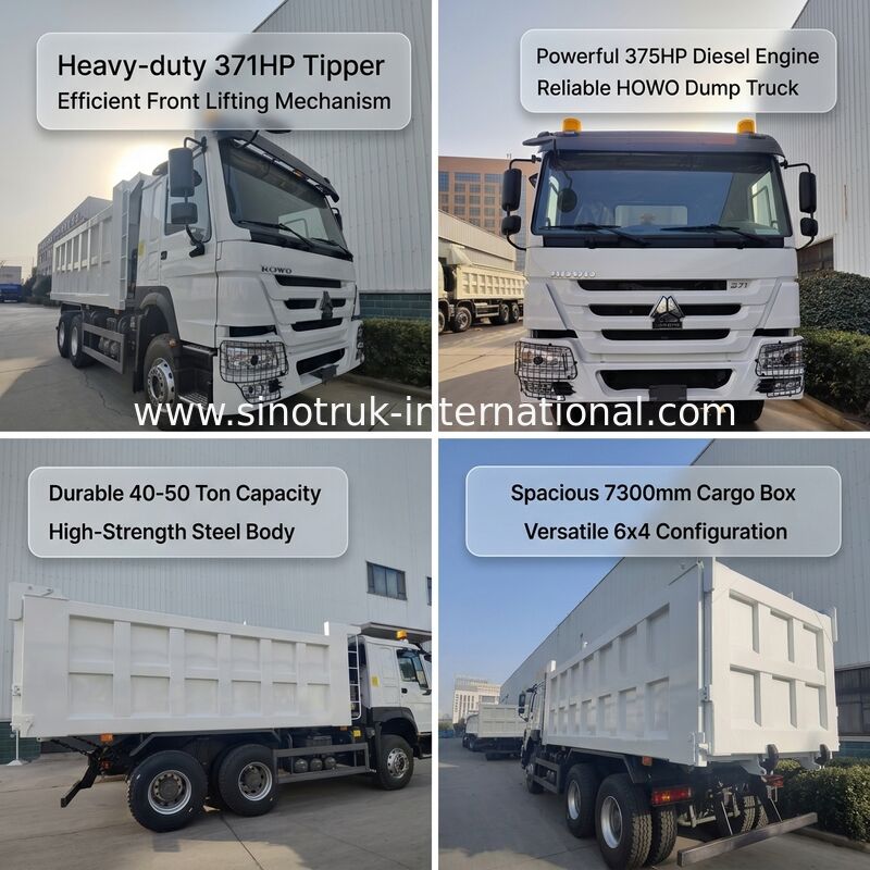 SINOTRUK HOWO 371HP camión de carga pesado con 10 ruedas y caja de carga rectangular