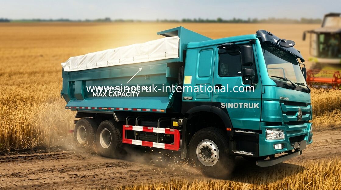 Camión volquete de la rueda de la basura 10 de la construcción, camión de volquete de Howo del euro 2 de las obras públicas
