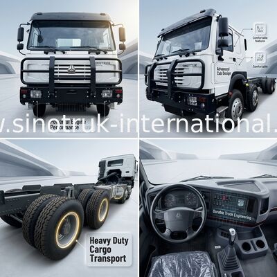 Sinotruk HOWO 8X4 camión de carga 400hp 12 ruedas Ghost Face Cab