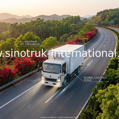SINOTRUK HOWO camión refrigerado 160HP RHD de 10 toneladas