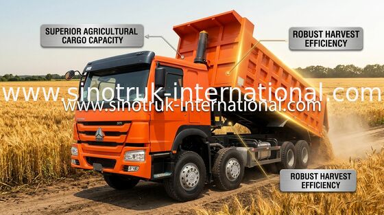 El camión de volquete SINOTRUK HOWO 371HP 12 rueda LHD 31 toneladas de 20-30CBM ZZ3317N3567W